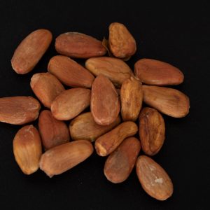 Semillas: Magaby y su mata de cacao