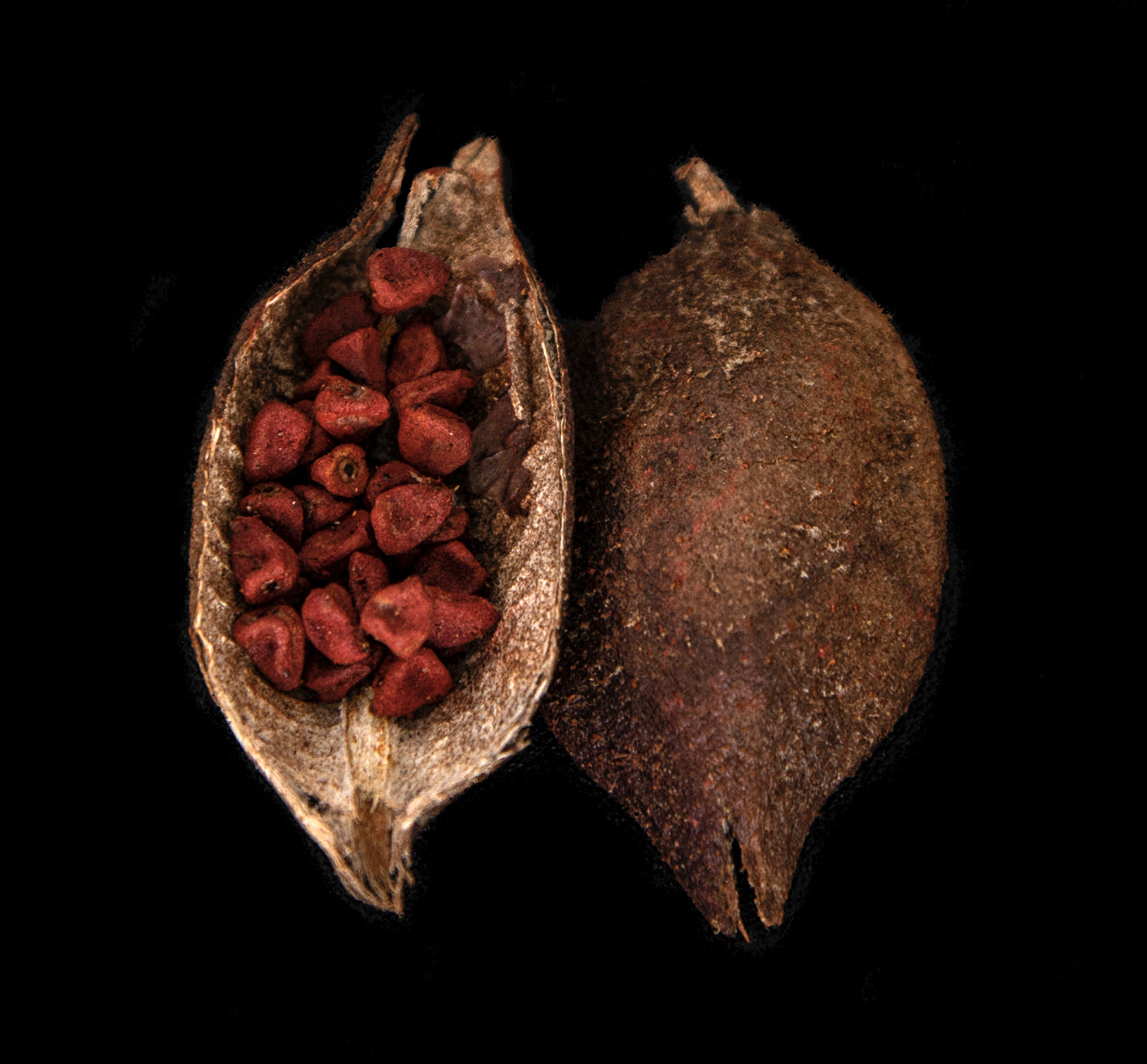 Achiote Liso