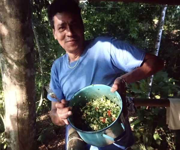 Recetas: Rafa y la ensalada de bosque comestible