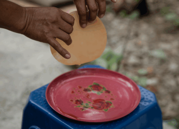 Vinagres del bosque comestible