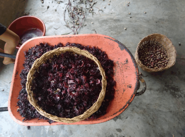 Jamaica caramelizada