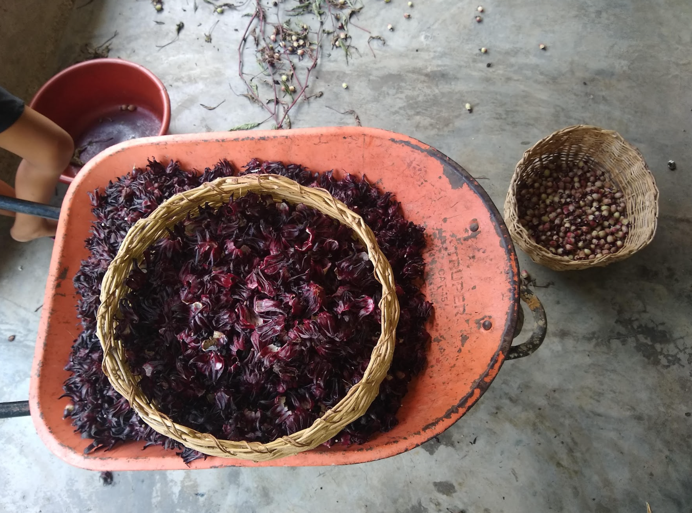 Jamaica caramelizada